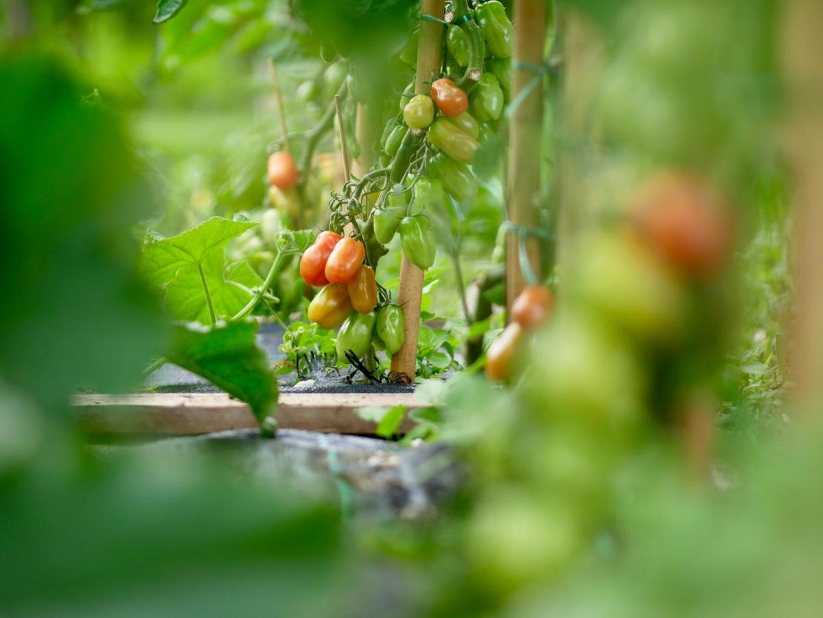 Agriturismo Casa Di Campagna Riva del Garda Eksteriør billede