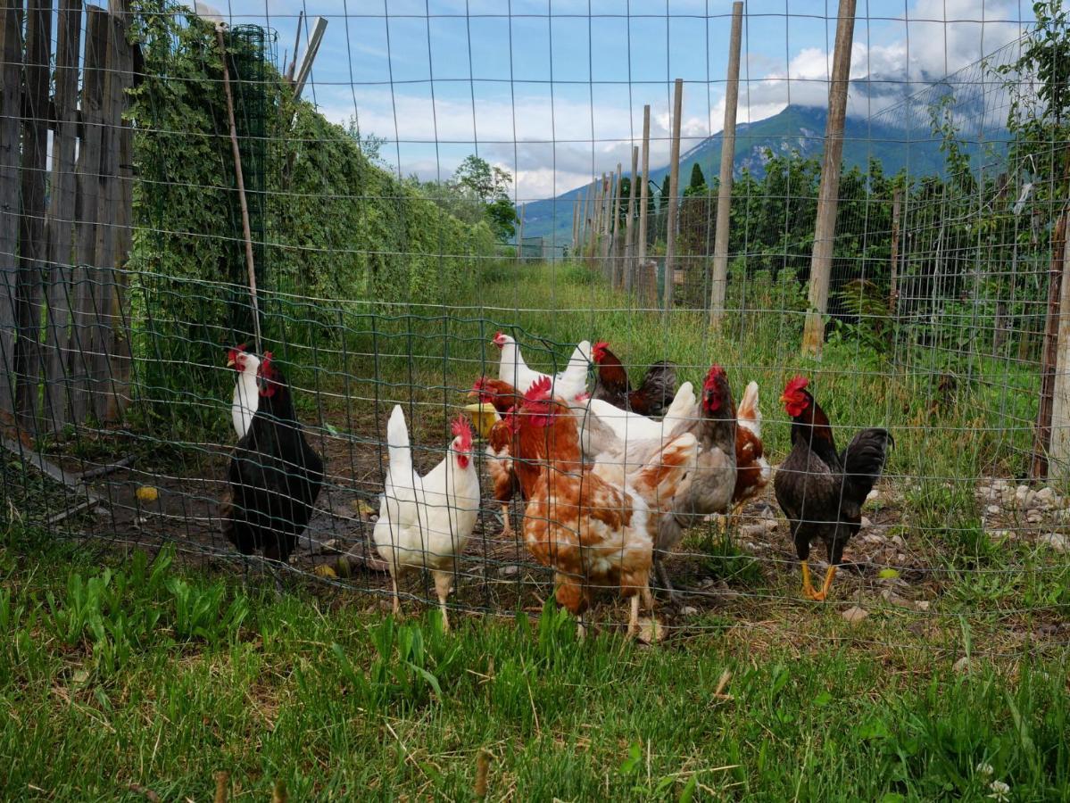 Agriturismo Casa Di Campagna Riva del Garda Eksteriør billede