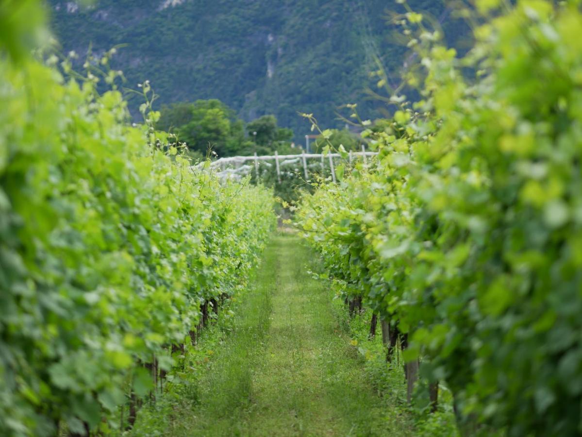 Agriturismo Casa Di Campagna Riva del Garda Eksteriør billede