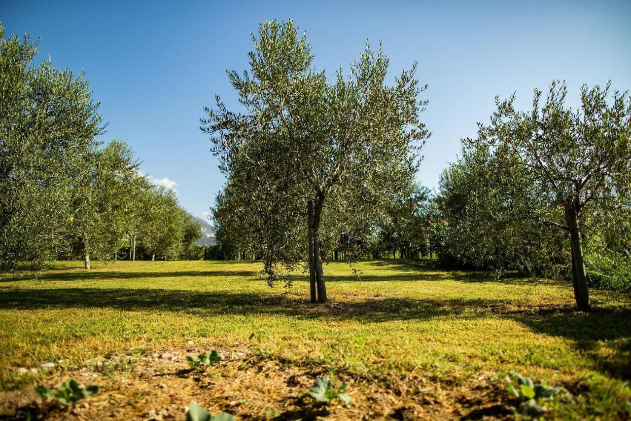 Agriturismo Casa Di Campagna Riva del Garda Eksteriør billede