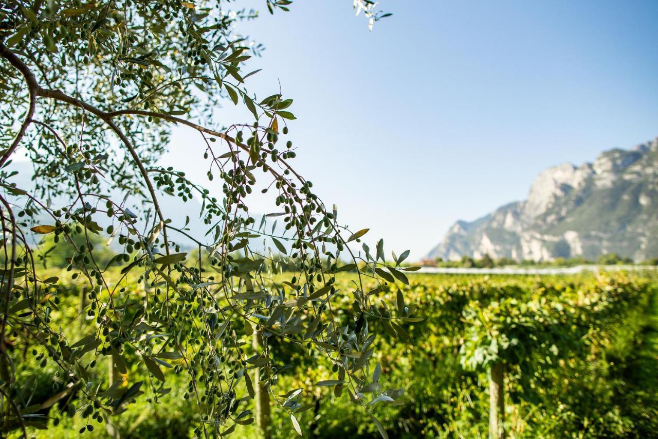 Agriturismo Casa Di Campagna Riva del Garda Eksteriør billede