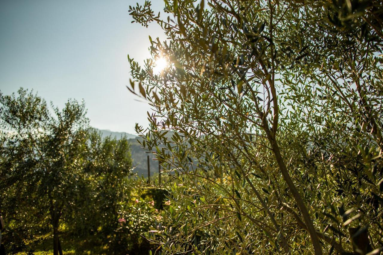 Agriturismo Casa Di Campagna Riva del Garda Eksteriør billede