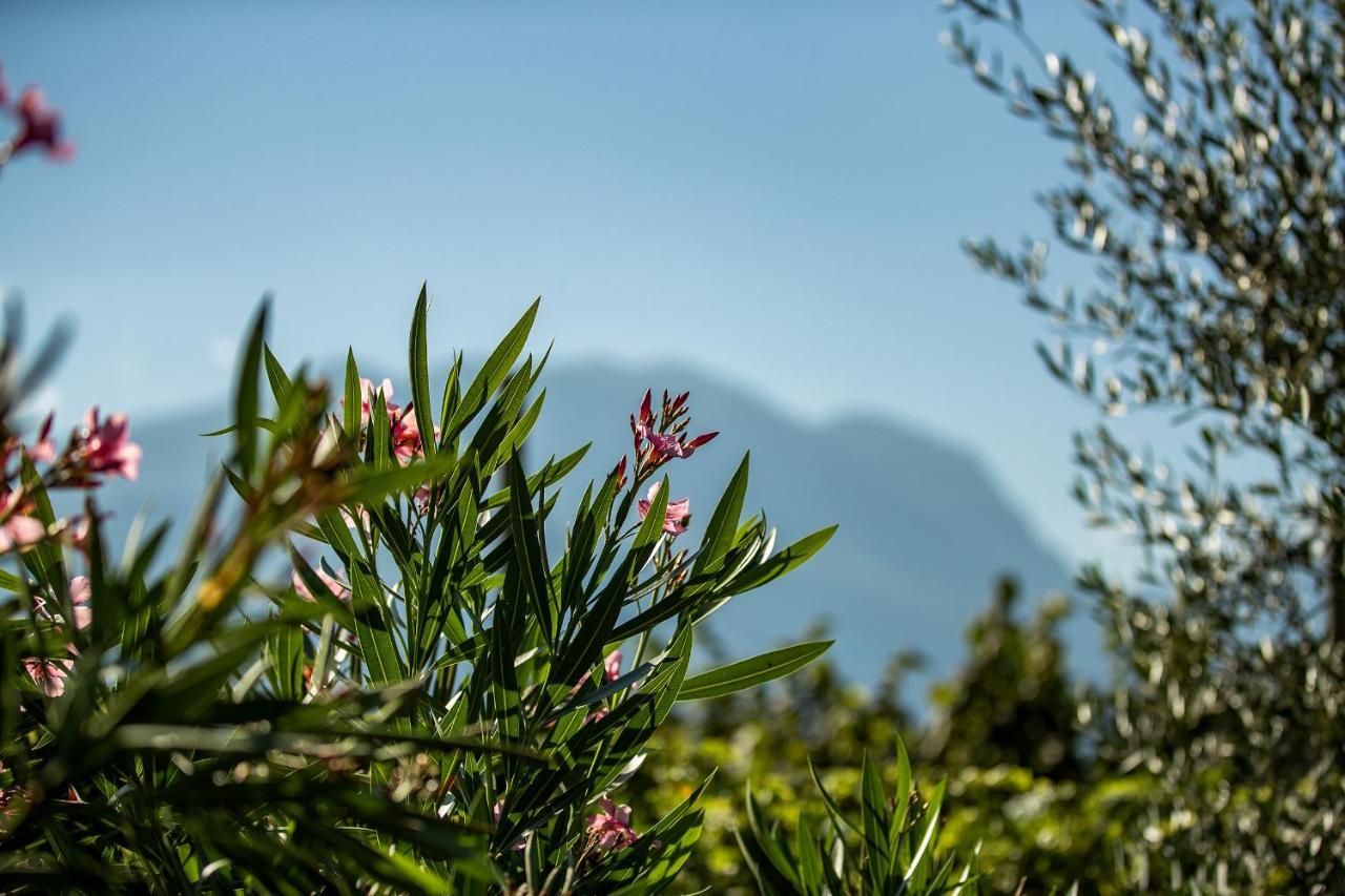 Agriturismo Casa Di Campagna Riva del Garda Eksteriør billede